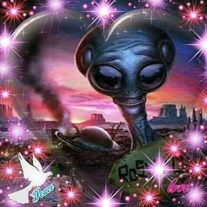 Meet your Posher, Philip